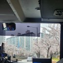 CLUB 596 | 서울근교 뚜벅이 글램핑 수원 솔내음 캠핑장 카라반 후기