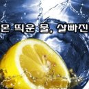 레몬 이미지