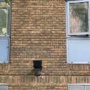 레베농장 이미지