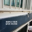베스트신우 이미지