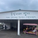 돌담자전거 네이버블로그