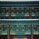 The beauty of roofs in Gyeongbok-palace 이미지