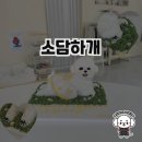 소담하개 이미지