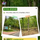 대부도 산림욕장 화장실 네이버블로그