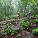 연가리맑은터 이미지