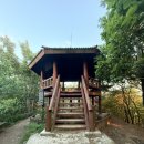 희망봉_숲길(등산)1코스 | [광교산 등산코스] 형제봉·비로봉·시루봉 정상까지 12km 완주! 새벽 일출산행 및 주차정보 포함 후기