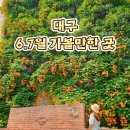 그루동물병원 | 대구 능소화 명소 3곳 | 6~7월 가볼만한 곳 + 숙박비 아끼는 꿀팁까지