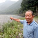 정선 아리랑 주막 티스토리