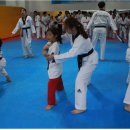 한국태권도아카데미 이미지