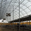 서평1길 | 청주 오송에서 미호천건너는 외승후기 초보승마 트래킹 준비물 코스 킴스승마클럽