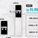 멕시카나구리 이미지