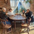 소호야생차 이미지