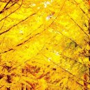 주안서로 이미지