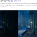 자동차용품점화성 네이버블로그