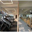 더라인핏 이미지