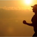 [야간] 다이어트 요가 이미지