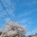 미강펜션민박 이미지