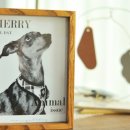 올데이펫 이미지