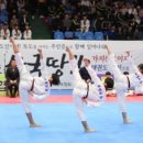 엘리트석사태권도 이미지