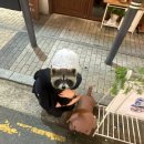 나비 게임장 | 휴학생의 7월: 우끼 우끼끼 잘하고 있숭