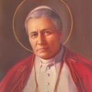 (주)비오 이미지