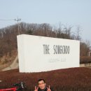 울대5교