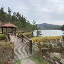 희리산 (치유의 숲) 이미지