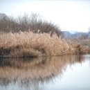 섬진강나루 이미지