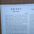 2박 3일 묵호 혼여행🌊