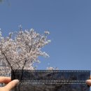 연남동 사진 인화 [연남필름 현상소] 일회용 필름카메라 인화 후기 / 흑백카메라 인화 후기