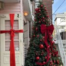 일산로428번길 | 2025 겨울 일기