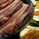 돌리고제주도야지 이미지