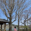 신리수산 | [서해안 2박3일] 태안-서산-당진 힐링 여행 코스 추천 / 맛집, 카페, 가볼만한곳