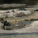 경안천 마평동 이미지