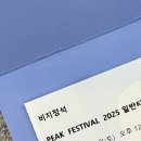 2025 피크페스티벌 양일권 | 낭만 빼면 시체