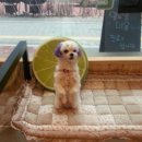 애니힐동물병원 이미지