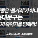 [논평] 동물은 '볼거리'가 아니다. 동대문구는 토끼 죽이기를 멈춰라! 이미지