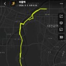 8.3. 야간lsd 이미지