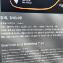 수영강변 이미지