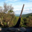 축령산휴림 이미지