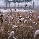 억새어린이공원 이미지