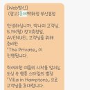 MVG호텔 | 2025 롯데백화점 The private 부산 상반기 MVG P-DAY쇼핑