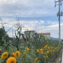 희망여관 이미지