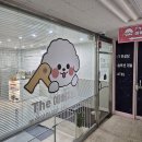 송학지안리즈 | 익산 애견미용 추천｜10살 포메도 편안했던 "더예뻐지개" 방문 후기 (가위컷 포인트&amp;시설 굿)