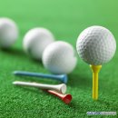 과천스크린골프존 이미지