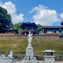 성주사 회귀형 숲길 | 치악산 등산코스 | 구룡사-사다리병창길-비로봉 원점회귀 후기, 소요시간·난이도