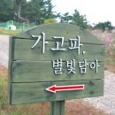 가고파헤어 이미지