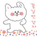 제이오와이 이미지