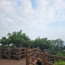 독바위공원 인라인스케이트 이미지