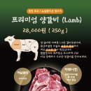 팔팔장어 이미지